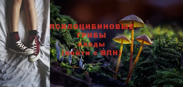 спайс Сосновка